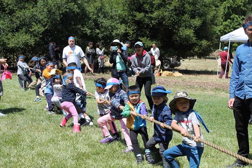 columns 元気が出る1分コラム画像