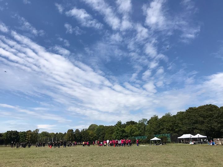 columns 元気が出る1分コラム画像