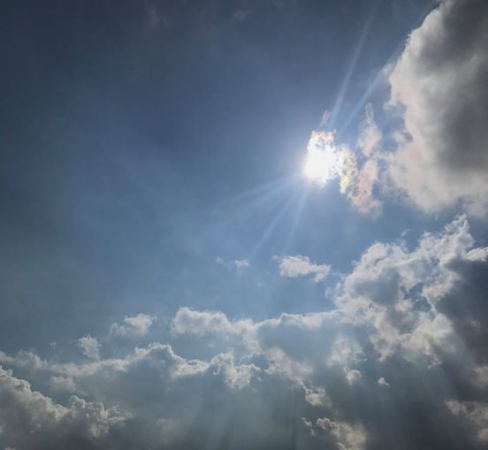 columns 元気が出る1分コラム画像