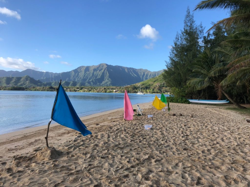 columns 元気が出る1分コラム画像