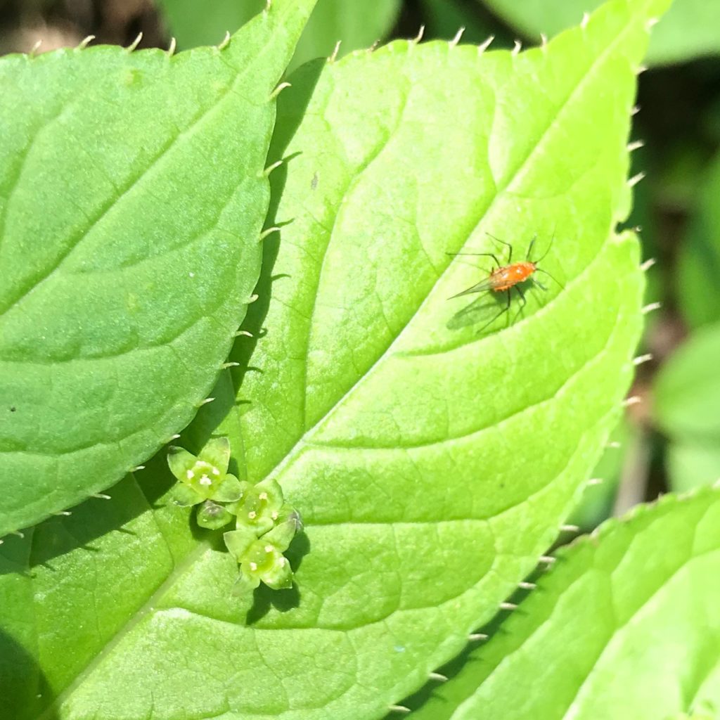 columns 元気が出る1分コラム画像