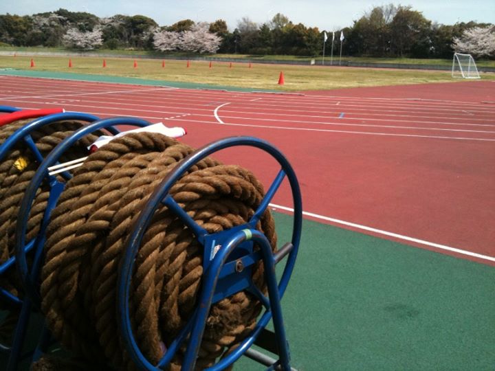 columns 元気が出る1分コラム画像