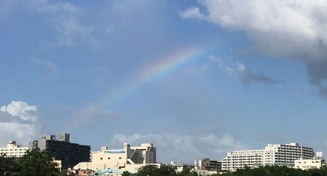 columns 元気が出る1分コラム画像