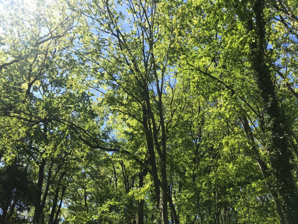 columns 元気が出る1分コラム画像