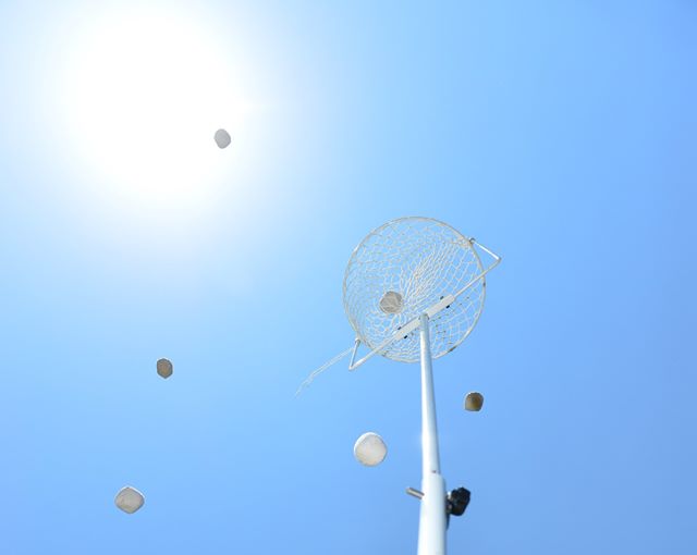 columns 元気が出る1分コラム画像