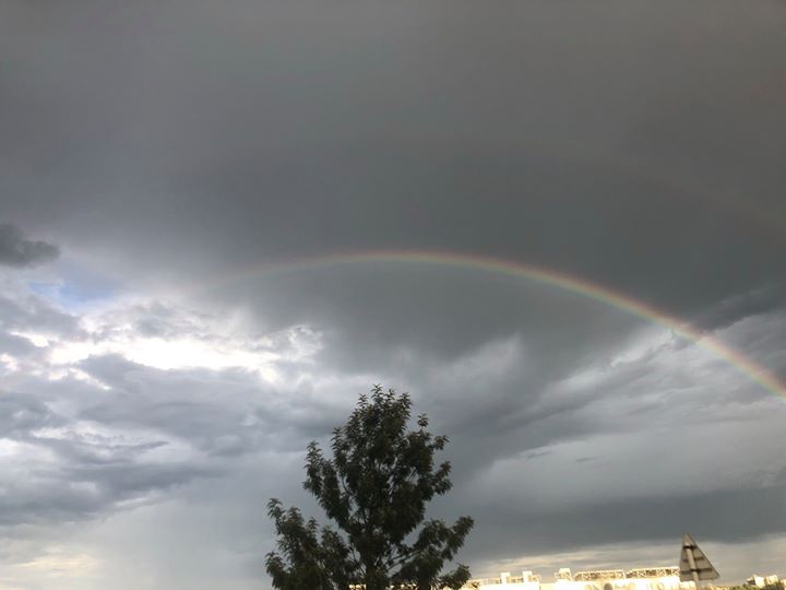 columns 元気が出る1分コラム画像