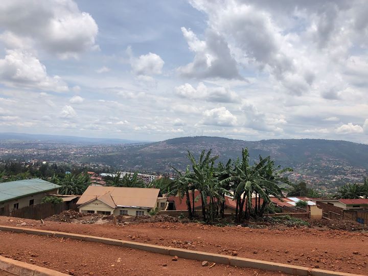 columns 元気が出る1分コラム画像