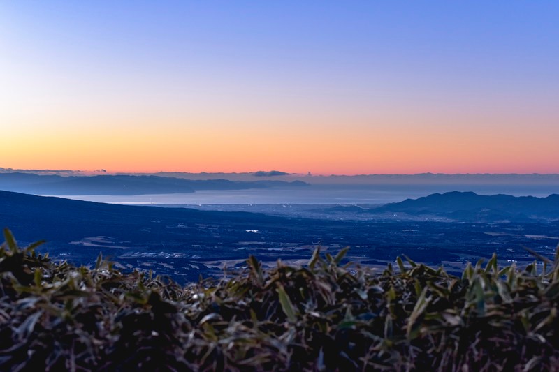 columns 元気が出る1分コラム画像