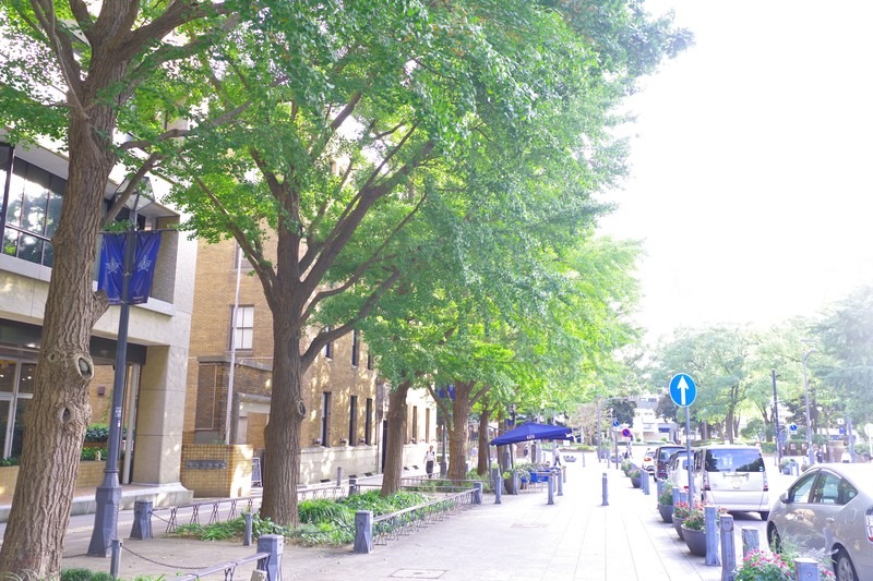 columns 元気が出る1分コラム画像