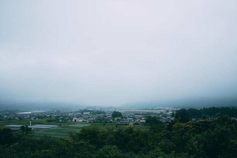 columns 元気が出る1分コラム画像