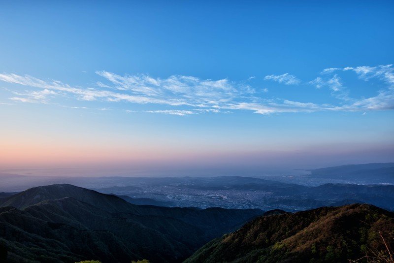 columns 元気が出る1分コラム画像