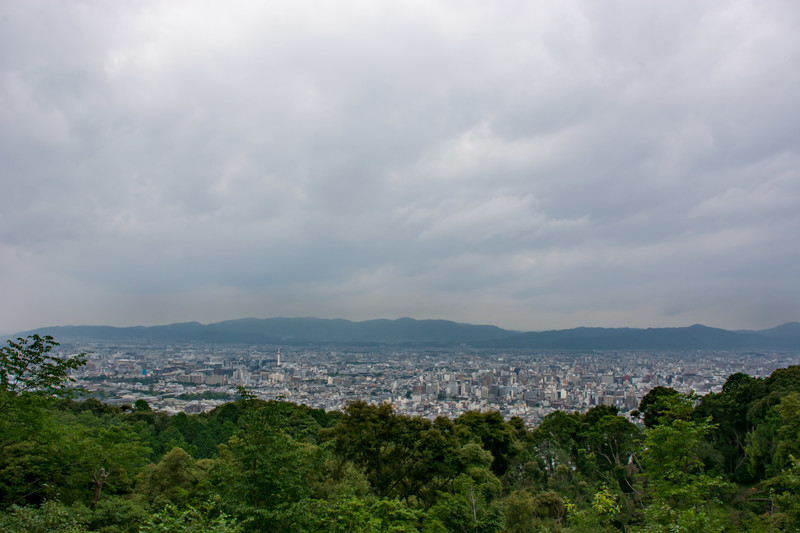 columns 元気が出る1分コラム画像