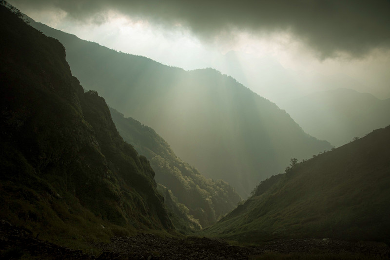 columns 元気が出る1分コラム画像