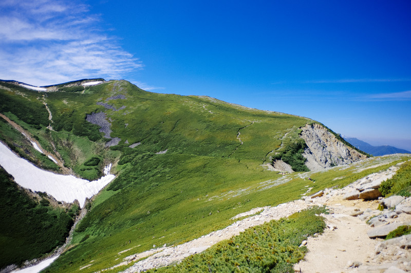 columns 元気が出る1分コラム画像