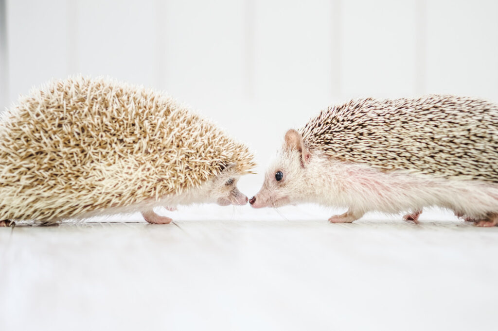 columns 元気が出る1分コラム画像