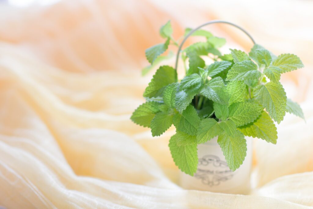 columns 元気が出る1分コラム画像