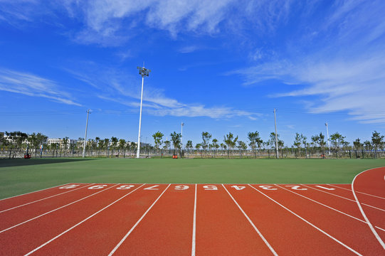 columns 運動会の企画画像